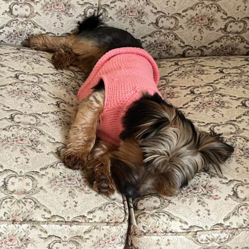 Winnie