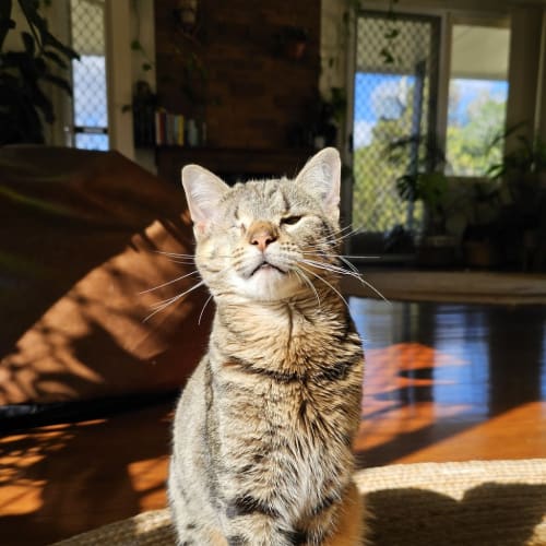 Sid