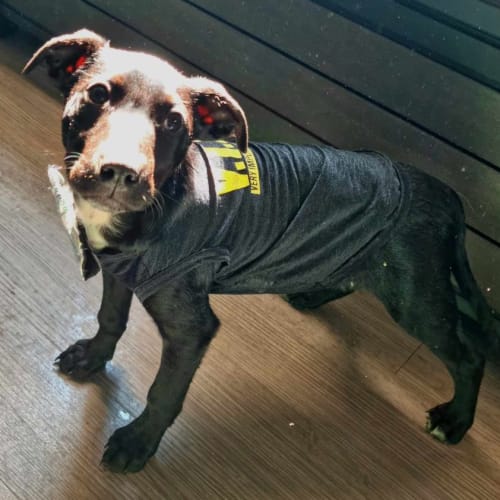 Ezra