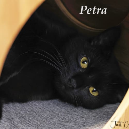 Petra
