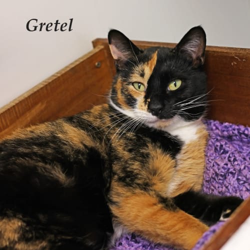 Gretel
