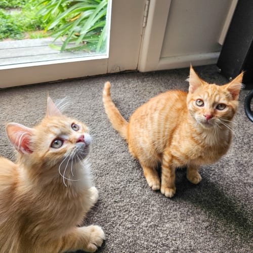 Rupert (and Gordon)