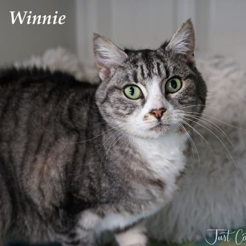 Winnie