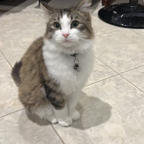 Lucy