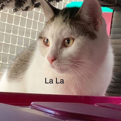 La La