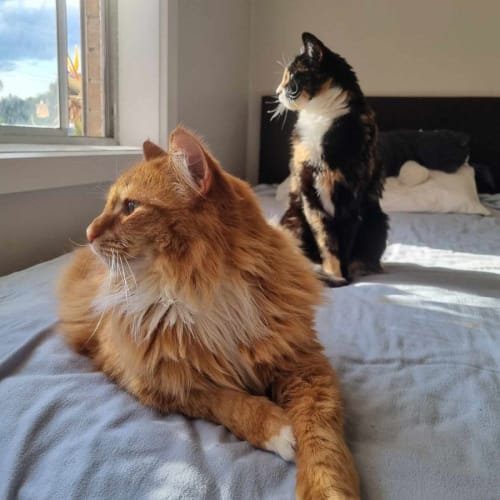 Poppy and Gatsby