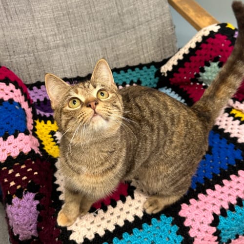 Maggie