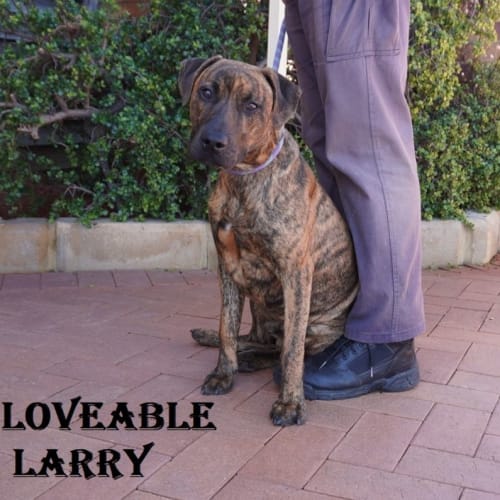 Larry
