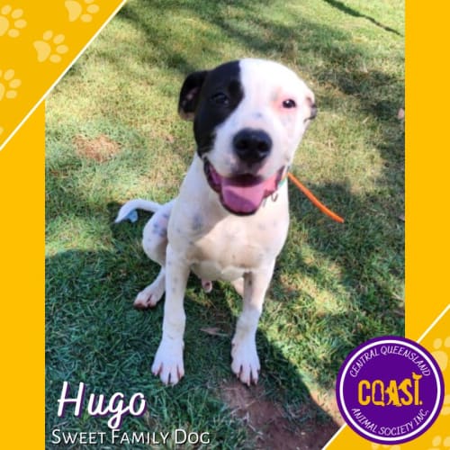 Hugo