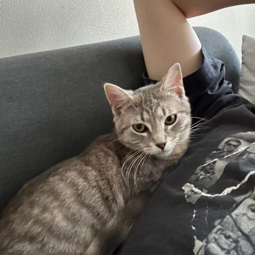 Max