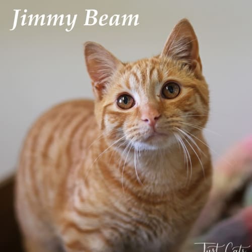 Jimmy Beam