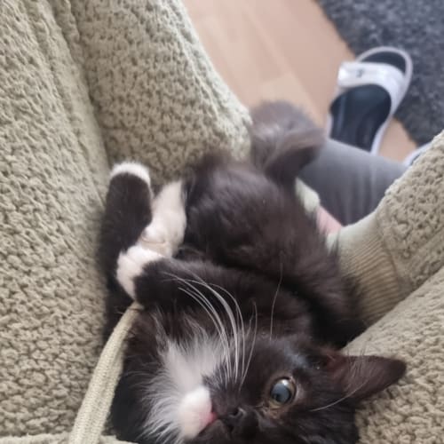 Luna