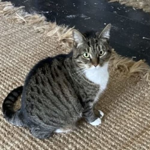 Edna