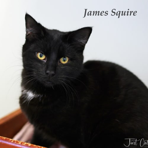 James Squire