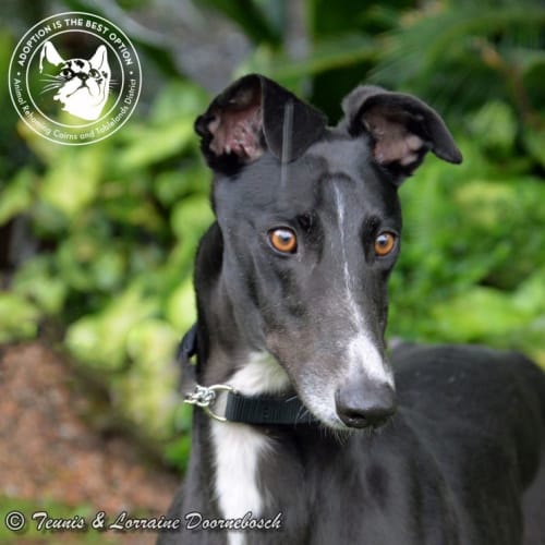 Jason (Prince Ebby))