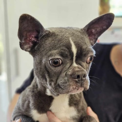 Matilda