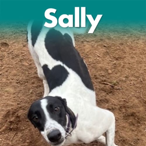 Sally