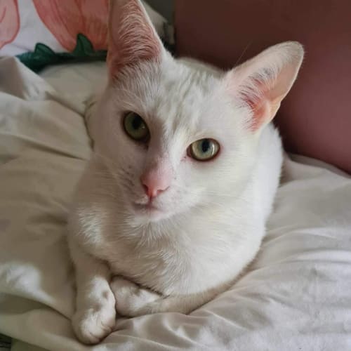 Winter Meet me at Petstock Dandenong store 