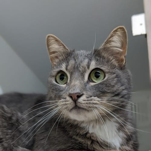 ♠Friday F02624 ♠