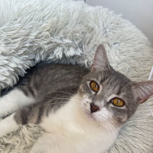 Randy ! Meet me at petstock keysborough store