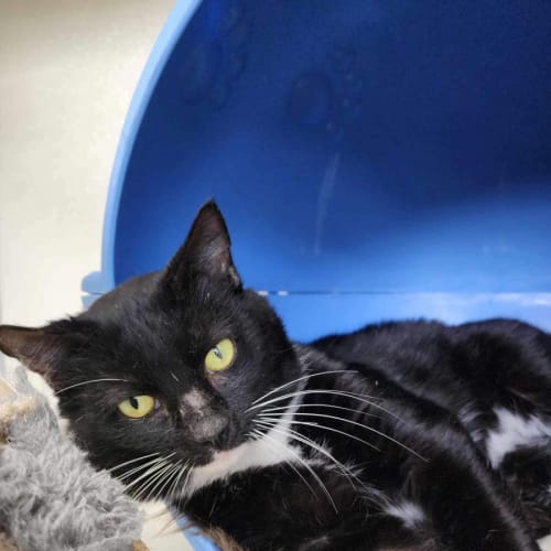 👾Ziggy F02614👾