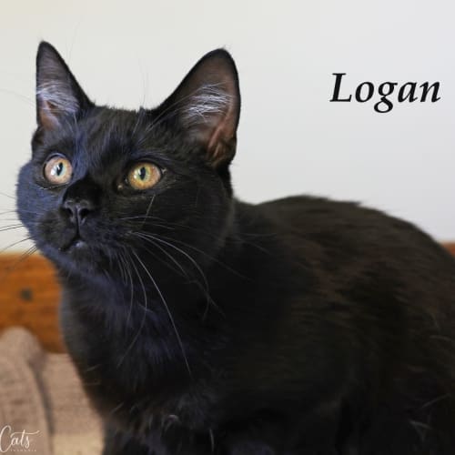 Logan