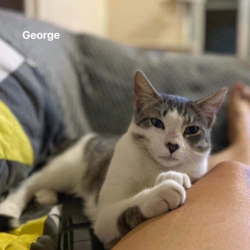 George