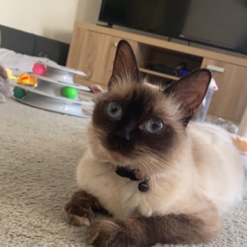 Luna