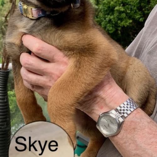 Skye