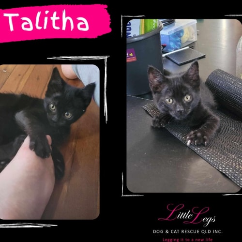 Talitha