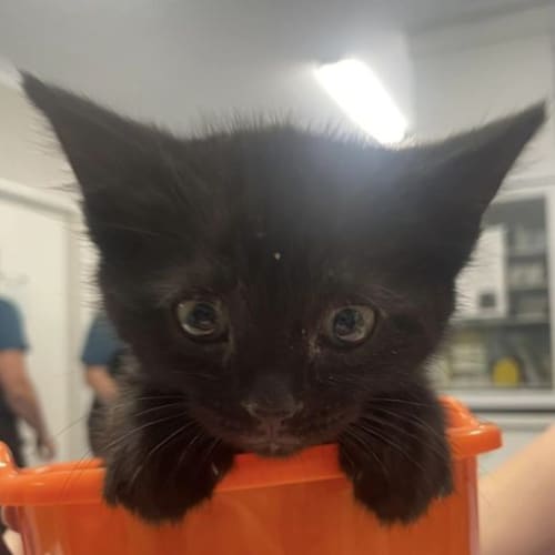 Monty, Larry & Joelene