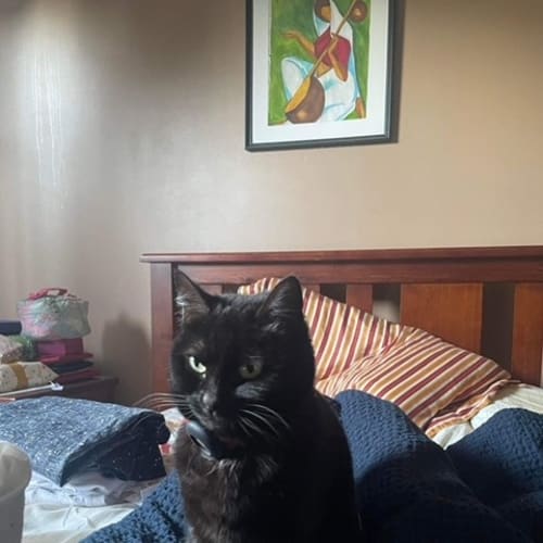 Mellie