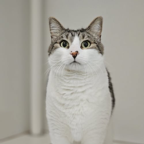 Benny
