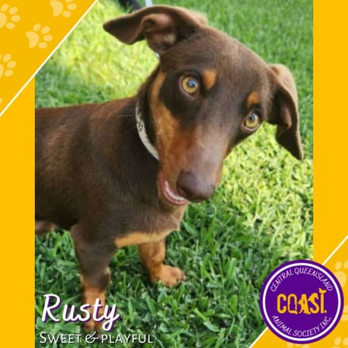 Rusty