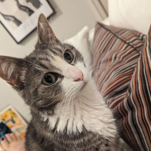 Sinatra