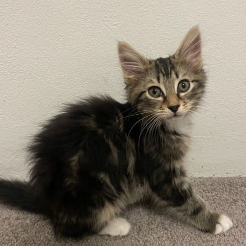 Eleanor