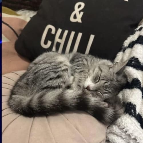 Stormi