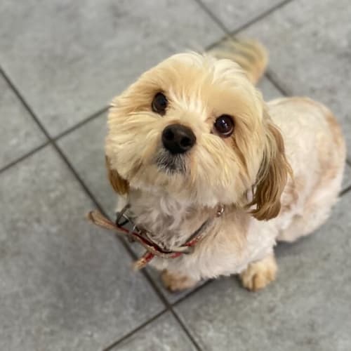 Bailey