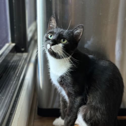 No photo for Francia