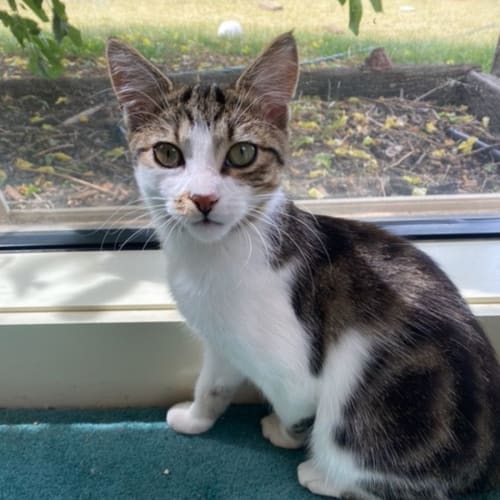 Willow - Located in Hillside