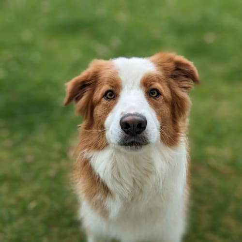 💙 Luka C04697 💙