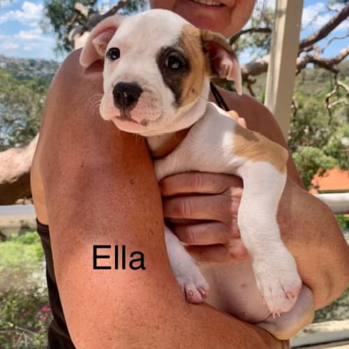 Ella