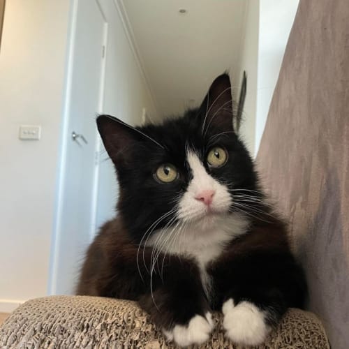 Mr Jefferies - Located in West Melbourne