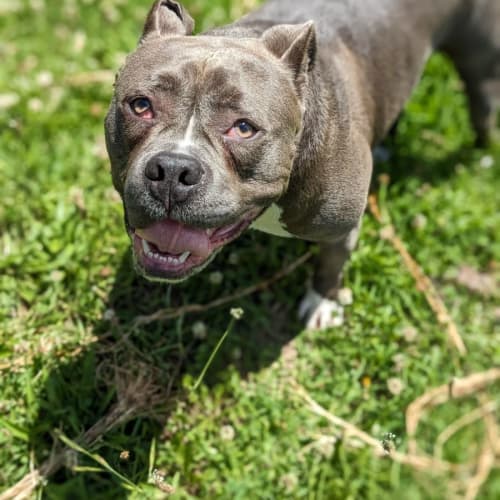 🔥 Obi C04767 🔥