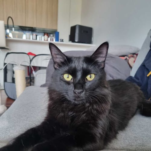 Ellie