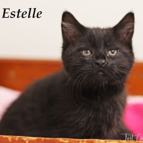 Estelle