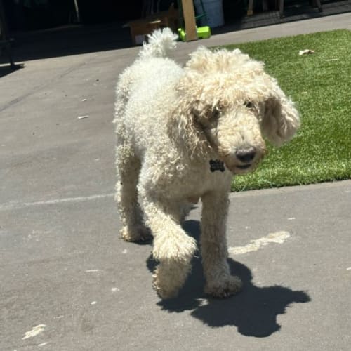 Kylie 