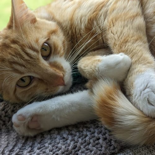 🧡 Jamie F02700 🧡