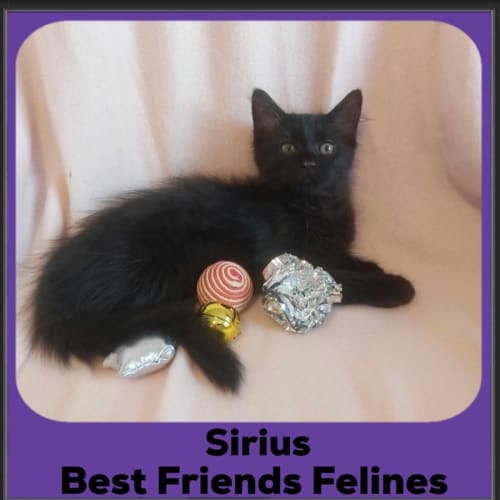 Sirius