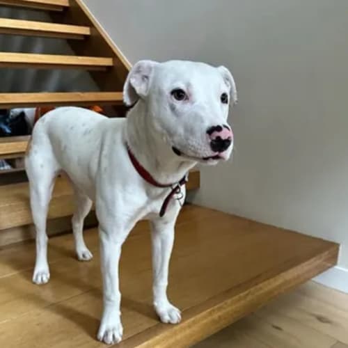 No photo for Lucy 